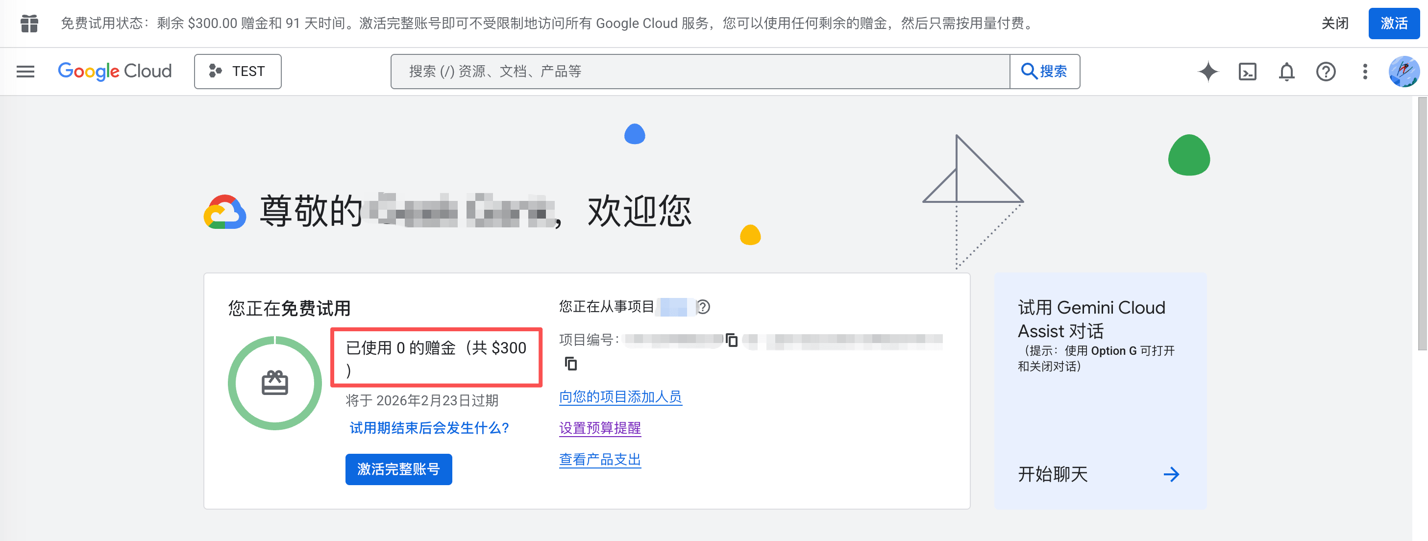 Google Gemini 300USD